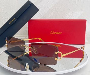 Cartier Sunglasses 893